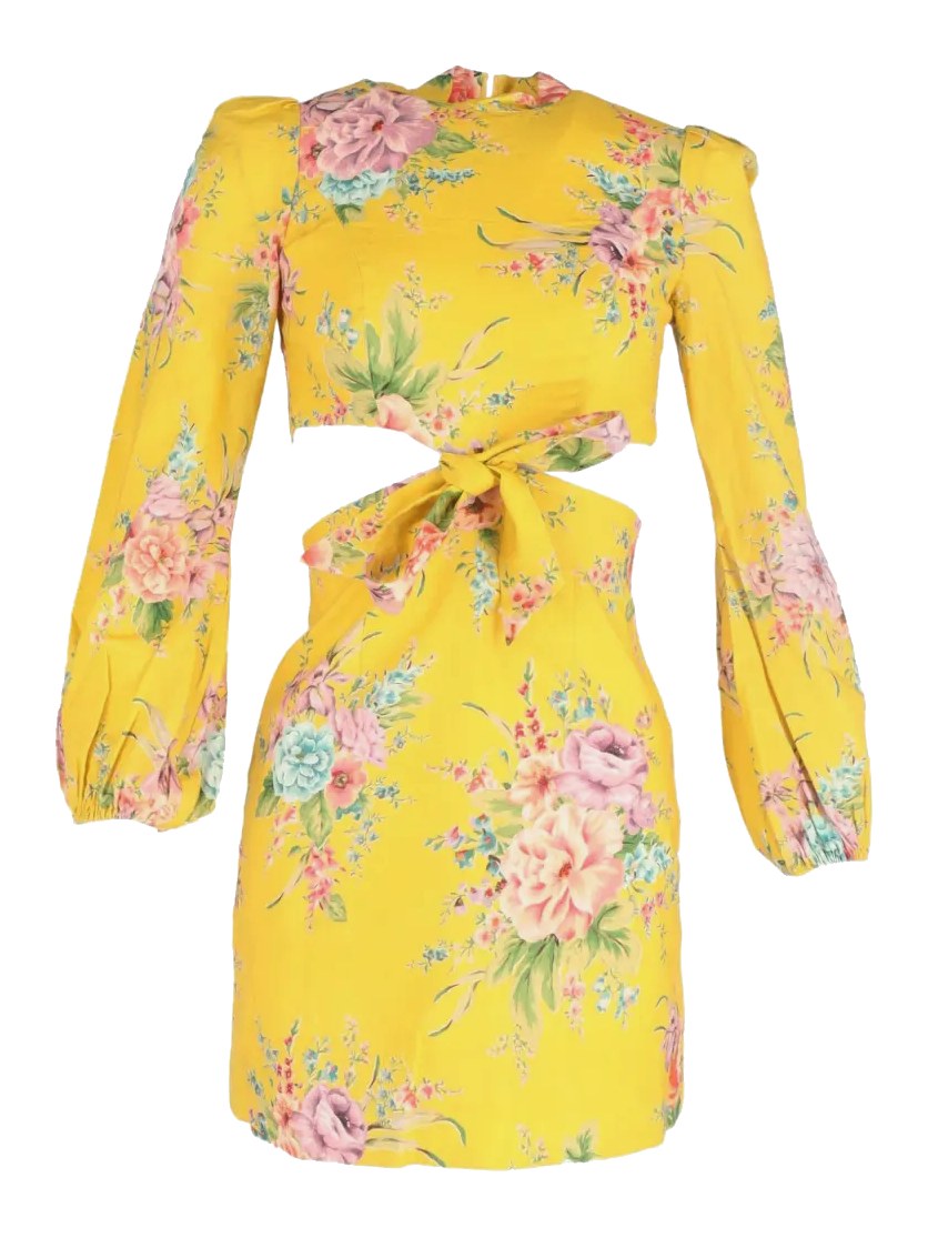 Zinnia Bow Cut Out Mini Dress, Zimmermann